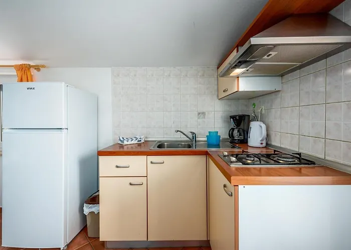 Gasthuis Aleks House With